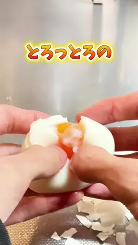 ちびのっぽ🏠ズボラでもできるラク家事術のTikTok投稿