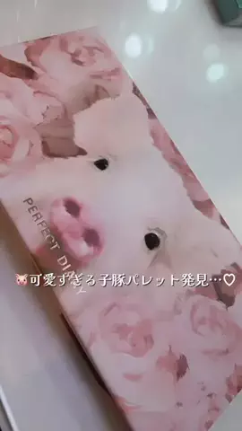KOHA【美容系クリエイター】のTikTok投稿