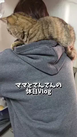 ちゃちゃママのTikTok投稿