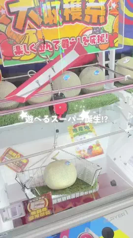 Luna＊旅とTOKACHIメモのTikTok投稿