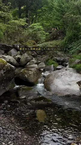 花のTikTok投稿