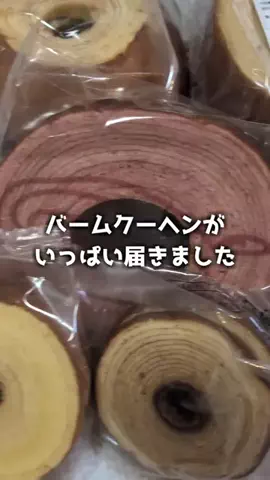 ねぼのTikTok投稿