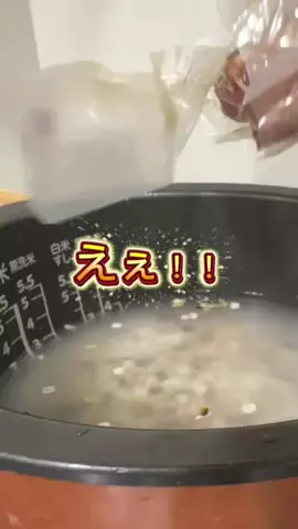 まろのTikTok投稿