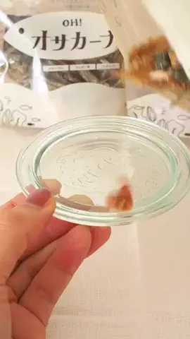 まろのTikTok投稿