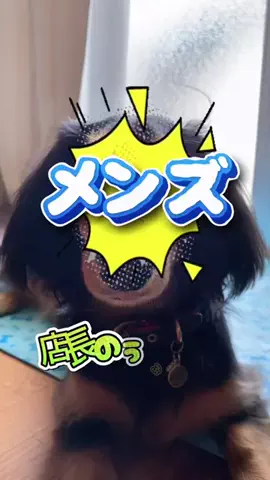 あんころ🐾うぶのTikTok投稿