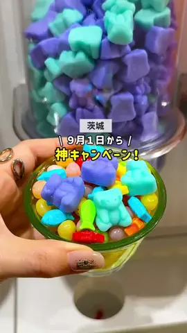茨城ガイド📕あせこ【お出かけ・グルメ・観光・イベント】のTikTok投稿