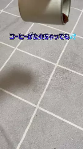 いこ|めんどくさがり女の掃除ハックのTikTok投稿