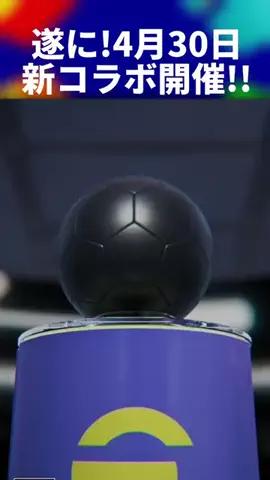 ひろ🦑のTikTok投稿