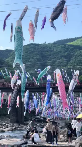しんぺいのTikTok投稿