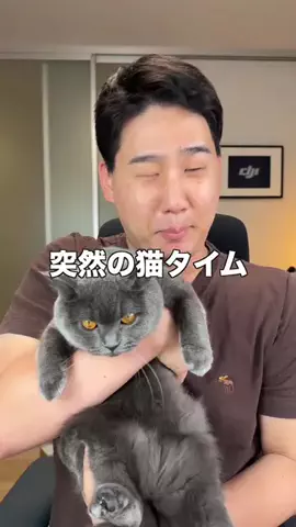 ガジェットモのTikTok投稿