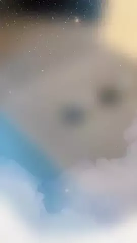 funfunshopingのTikTok投稿