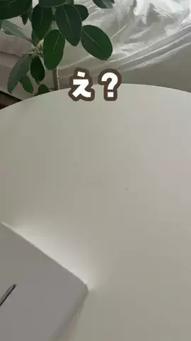 あゆ | ママが知りたい暮らしのアイデア🕊のTikTok投稿