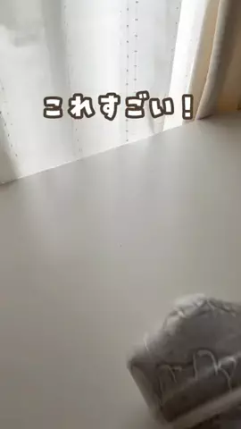 あゆ | ママが知りたい暮らしのアイデア🕊のTikTok投稿