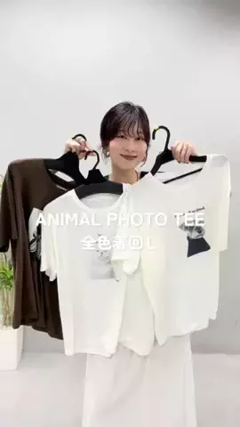 haruのTikTok投稿