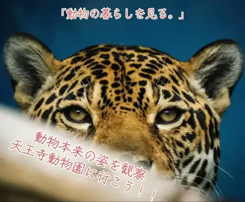 寝不足夜更かしバリトンのTikTok投稿
