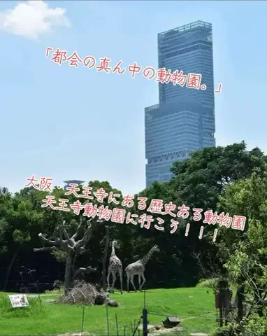 寝不足夜更かしバリトンのTikTok投稿