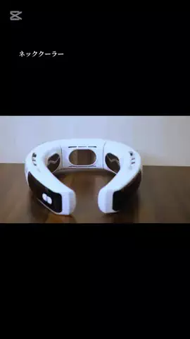 うさぎのももち4歳♂のTikTok投稿