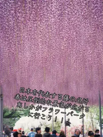 寝不足夜更かしバリトンのTikTok投稿