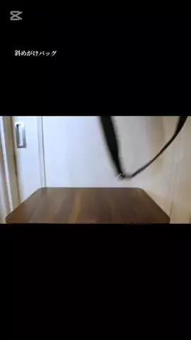 うさぎのももち4歳♂のTikTok投稿