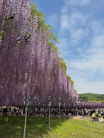 寝不足夜更かしバリトンのTikTok投稿