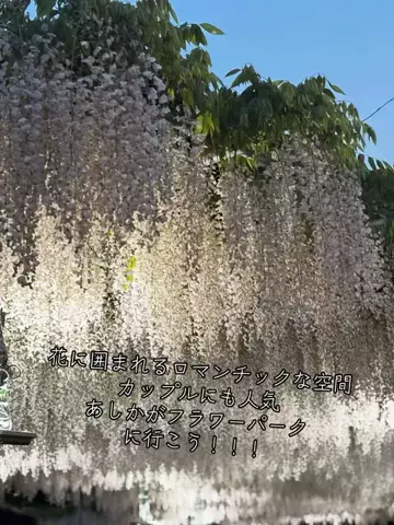 寝不足夜更かしバリトンのTikTok投稿