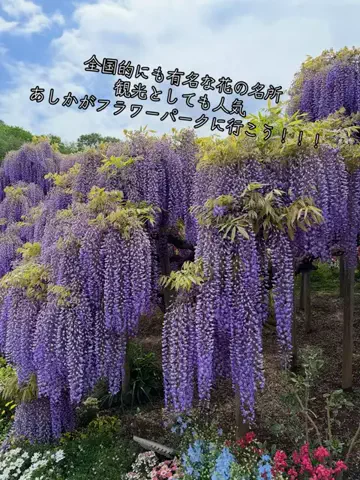 寝不足夜更かしバリトンのTikTok投稿