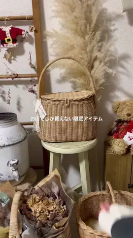 ｱ ｶ ﾘのTikTok投稿