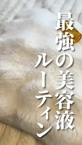 コス神ちゃん♡のTikTok投稿