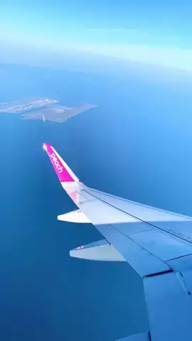 ひなた 🐛のTikTok投稿