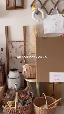 ｱ ｶ ﾘのTikTok投稿