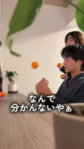 南国カップルのTikTok投稿