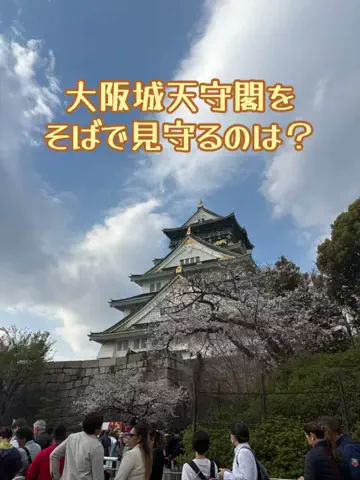 シロクマさんのTikTok投稿