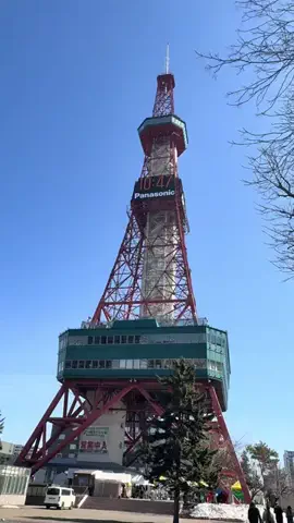 シロクマさんのTikTok投稿