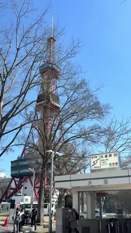 シロクマさんのTikTok投稿