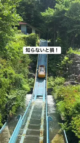 hana旅のTikTok投稿