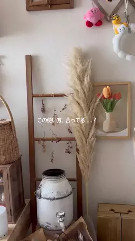 ｱ ｶ ﾘのTikTok投稿