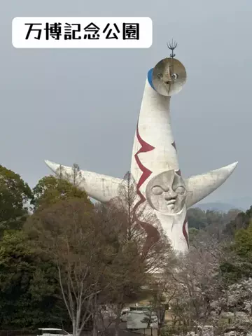 シロクマさんのTikTok投稿