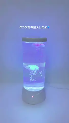 すみのTikTok投稿