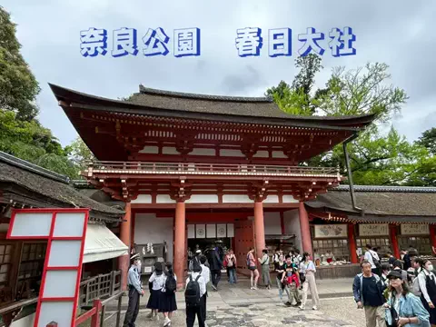 シロクマさんのTikTok投稿