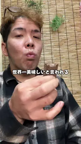 8ヶ月で30kg痩せた男【あかちゃんぷりん】のTikTok投稿