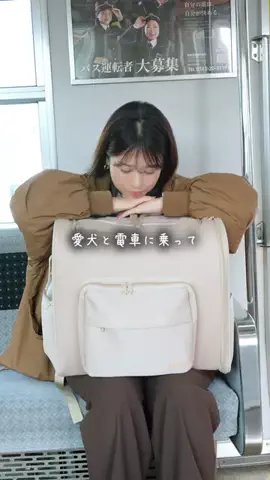 ゆか🐶のTikTok投稿