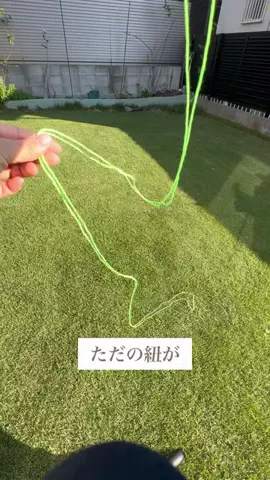 はるの芝生のTikTok投稿