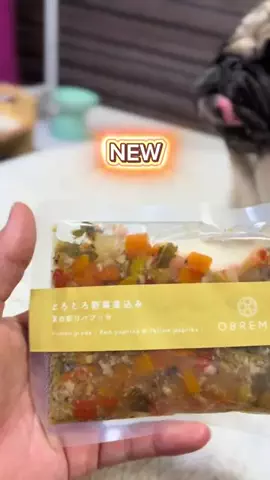パグの喜一と高橋家🐶🐾のTikTok投稿