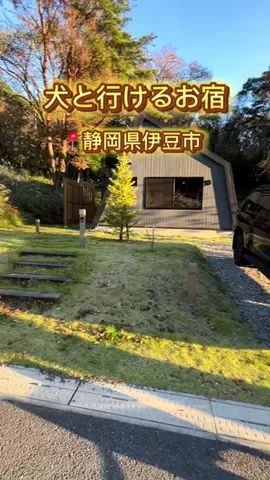 パグの喜一と高橋家🐶🐾のTikTok投稿