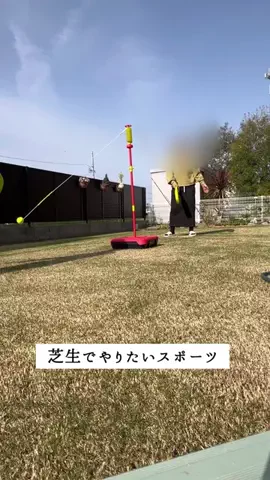 はるの芝生のTikTok投稿