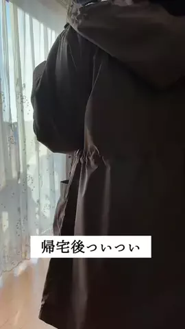 はるの芝生のTikTok投稿