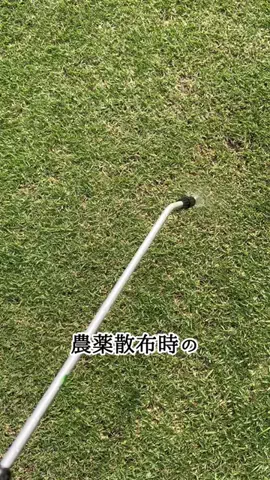 はるの芝生のTikTok投稿
