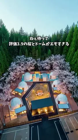ホテル棲み限界OLのTikTok投稿