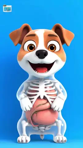 犬猫総合製薬株式会社のTikTok投稿