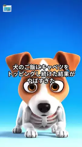 犬猫総合製薬株式会社のTikTok投稿